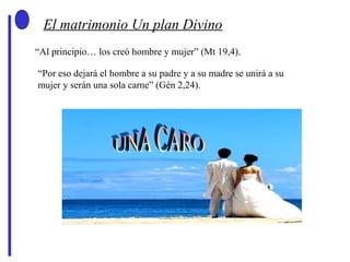“Al principio… los creó hombre y mujer” (Mt 19,4).
“Por eso dejará el hombre a su padre y a su madre se unirá a su
mujer y serán una sola carne” (Gén 2,24).
El matrimonio Un plan Divino
 