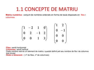 Matriu numèrica : conjunt de nombres ordenats en forma de taula disposats en files i
columnes
1.1 CONCEPTE DE MATRIU
Files: sentit horitzontal
Columnes: sentit vertical
Cada nombre real es un element de matriu i quedat definit pel seu nombre de fila i de columna
que ocupa
Ordre o dimensió : ( nº de files, nº de columnes)
 