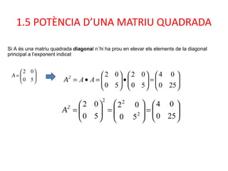1.5 POTÈNCIA D’UNA MATRIU QUADRADA
Si A és una matriu quadrada diagonal n´hi ha prou en elevar els elements de la diagonal
principal a l’exponent indicat
A 





=
50
02
A2






=





•





=•=
250
04
50
02
50
02
AA
A2






=







=





=
250
04
50
02
50
02
2
22
 