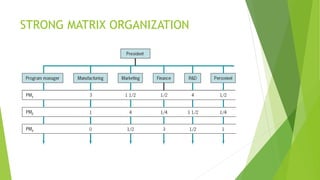 Matrixed organizations | PPTX
