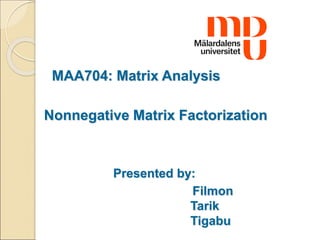 MAA704: Matrix Analysis
Nonnegative Matrix Factorization
Presented by:
Filmon
Tarik
Tigabu
 