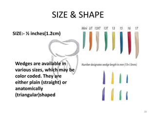 Wedge Shape Triangular Base Matrixing and wedges | PPTX