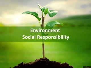 Environment
Social Responsibility
 