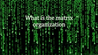 What is the matrix
organization
 