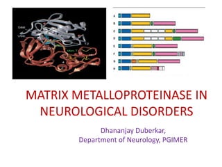 Matrix metalloproteinase in neurological disorders Dhananjay Duberkar, Department of Neurology, PGIMER 