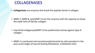 COLLAGENASES
▪ Collagenases are enzymes that break the peptide bonds in collagen.
▪ MMP-1, MMP-8, and MMP-13 are the enzymes with the capacity to cleave
the triple helix of fibrillar collagen.
▪ Interstitial collagenase(MMP-1) has preferential activity against type III
collagen.
▪ MMP-1 is produced and secreted predominantly by cells prevalent in the
post acute stages of wound healing (fibroblasts, endothelial cells)
 