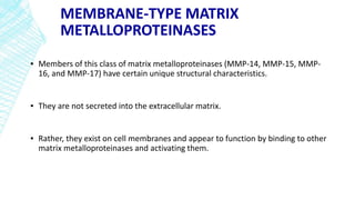 MEMBRANE-TYPE MATRIX
METALLOPROTEINASES
▪ Members of this class of matrix metalloproteinases (MMP-14, MMP-15, MMP-
16, and MMP-17) have certain unique structural characteristics.
▪ They are not secreted into the extracellular matrix.
▪ Rather, they exist on cell membranes and appear to function by binding to other
matrix metalloproteinases and activating them.
 