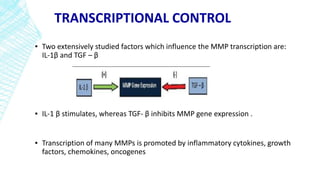 TRANSCRIPTIONAL CONTROL
▪ Two extensively studied factors which influence the MMP transcription are:
IL-1β and TGF – β
▪ IL-1 β stimulates, whereas TGF- β inhibits MMP gene expression .
▪ Transcription of many MMPs is promoted by inflammatory cytokines, growth
factors, chemokines, oncogenes
 