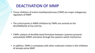 DEACTIVATION OF MMP
▪ Tissue inhibitors of matrix metalloproteinases (TIMP) are major endogenous
regulators of MMP
▪ The critical points in MMP inhibition by TIMPs are centred on the
disulfidebonds at Cys and Cys.
▪ TIMPs catalysis of disulfide bond formation between cysteines prevents
autocatalytic MMPs activation through the cysteine switch mechanism.
▪ In addition, TIMPs in complexes with other molecules involve in the inhibition
of already active MMP
 