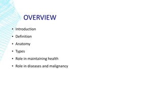 OVERVIEW
▪ Introduction
▪ Definition
▪ Anatomy
▪ Types
▪ Role in maintaining health
▪ Role in diseases and malignancy
 