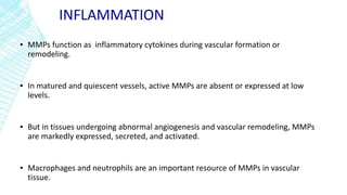 INFLAMMATION
▪ MMPs function as inflammatory cytokines during vascular formation or
remodeling.
▪ In matured and quiescent vessels, active MMPs are absent or expressed at low
levels.
▪ But in tissues undergoing abnormal angiogenesis and vascular remodeling, MMPs
are markedly expressed, secreted, and activated.
▪ Macrophages and neutrophils are an important resource of MMPs in vascular
tissue.
 