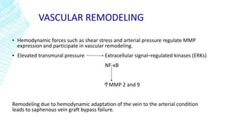 VASCULAR REMODELING
▪ Hemodynamic forces such as shear stress and arterial pressure regulate MMP
expression and participate in vascular remodeling.
▪ Elevated transmural pressure Extracellular signal–regulated kinases (ERKs)
NF-κB
↑MMP 2 and 9
Remodeling due to hemodynamic adaptation of the vein to the arterial condition
leads to saphenous vein graft bypass failure.
 