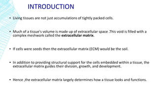 INTRODUCTION
▪ Living tissues are not just accumulations of tightly packed cells.
▪ Much of a tissue's volume is made up of extracellular space .This void is filled with a
complex meshwork called the extracellular matrix.
▪ If cells were seeds then the extracellular matrix (ECM) would be the soil.
▪ In addition to providing structural support for the cells embedded within a tissue, the
extracellular matrix guides their division, growth, and development.
▪ Hence ,the extracellular matrix largely determines how a tissue looks and functions.
 