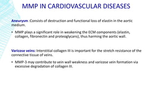 MMP IN CARDIOVASCULAR DISEASES
Aneurysm :Consists of destruction and functional loss of elastin in the aortic
medium.
▪ MMP plays a significant role in weakening the ECM components (elastin,
collagen, fibronectin and proteoglycans), thus harming the aortic wall.
Varicose veins: Interstitial collagen III is important for the stretch resistance of the
connective tissue of veins.
▪ MMP-3 may contribute to vein wall weakness and varicose vein formation via
excessive degradation of collagen III.
 