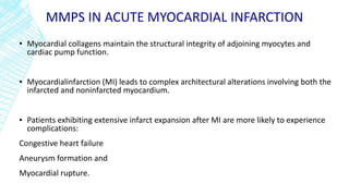 MMPS IN ACUTE MYOCARDIAL INFARCTION
▪ Myocardial collagens maintain the structural integrity of adjoining myocytes and
cardiac pump function.
▪ Myocardialinfarction (MI) leads to complex architectural alterations involving both the
infarcted and noninfarcted myocardium.
▪ Patients exhibiting extensive infarct expansion after MI are more likely to experience
complications:
Congestive heart failure
Aneurysm formation and
Myocardial rupture.
 