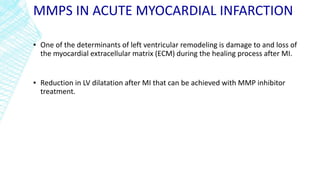 MMPS IN ACUTE MYOCARDIAL INFARCTION
▪ One of the determinants of left ventricular remodeling is damage to and loss of
the myocardial extracellular matrix (ECM) during the healing process after MI.
▪ Reduction in LV dilatation after MI that can be achieved with MMP inhibitor
treatment.
 