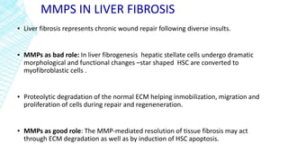 MMPS IN LIVER FIBROSIS
▪ Liver fibrosis represents chronic wound repair following diverse insults.
▪ MMPs as bad role: In liver fibrogenesis hepatic stellate cells undergo dramatic
morphological and functional changes –star shaped HSC are converted to
myofibroblastic cells .
▪ Proteolytic degradation of the normal ECM helping inmobilization, migration and
proliferation of cells during repair and regeneneration.
▪ MMPs as good role: The MMP-mediated resolution of tissue fibrosis may act
through ECM degradation as well as by induction of HSC apoptosis.
 
