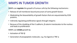MMPS IN TUMOR GROWTH
MMPs can regulate the growth of tumour cells by the following mechanisms :
▪ Release of cell membrane bound precursors of some growth factors
▪ Modulating the bioavailability of growth factors that are sequestrated by ECM
proteins.
▪ Indirectly regulating proliferative signals through integrins
▪ Because of the shedding of the E cadherin, β catenin translocates to the nucleus
and leads to proliferation
MMPs can inhibit growth by
▪ Activation of TGF-β
▪ Generation of proapoptotic molecules. e.g. Fas ligand or TNF α
 