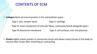 CONTENTS OF ECM
▪ Collagen-Main structural protein in the extracellular space.
Type I: skin, tendon, bone Type II: cartilage
Type III: main component of reticular fibers, commonly found alongside type I.
Type IV: basement membrane Type V: cell surfaces, hair and placenta
▪ Elastin-Highly elastic protein in connective tissue and allows many tissues in the body to
resume their shape after stretching or contracting.
 
