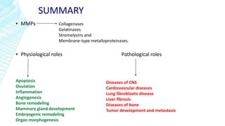 SUMMARY
▪ MMPs
▪ Physiological roles Pathological roles
Collagenases
Gelatinases
Stromelysins and
Membrane-type metalloproteinases.
Apoptosis
Ovulation
Inflammation
Angiogenesis
Bone remodeling
Mammary gland development
Embryogenic remodeling
Organ morphogenesis
Diseases of CNS
Cardiovascular diseases
Lung fibroblastic disease
Liver fibrosis
Diseases of bone
Tumor development and metastasis
 