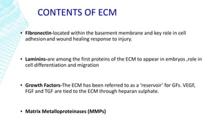 CONTENTS OF ECM
▪ Fibronectin-located within the basement membrane and key role in cell
adhesion and wound healing response to injury.
▪ Laminins-are among the first proteins of the ECM to appear in embryos ,role in
cell differentiation and migration
▪ Growth Factors-The ECM has been referred to as a ‘reservoir’ for GFs. VEGF,
FGF and TGF are tied to the ECM through heparan sulphate.
▪ Matrix Metalloproteinases (MMPs)
 