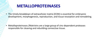 METALLOPROTEINASES
▪ The timely breakdown of extracellular matrix (ECM) is essential for embryonic
development, morphogenesis, reproduction, and tissue resorption and remodeling.
▪ Metalloproteinases /Matrixins are a large group of zinc-dependent proteases
responsible for cleaving and rebuilding connective tissue.
 