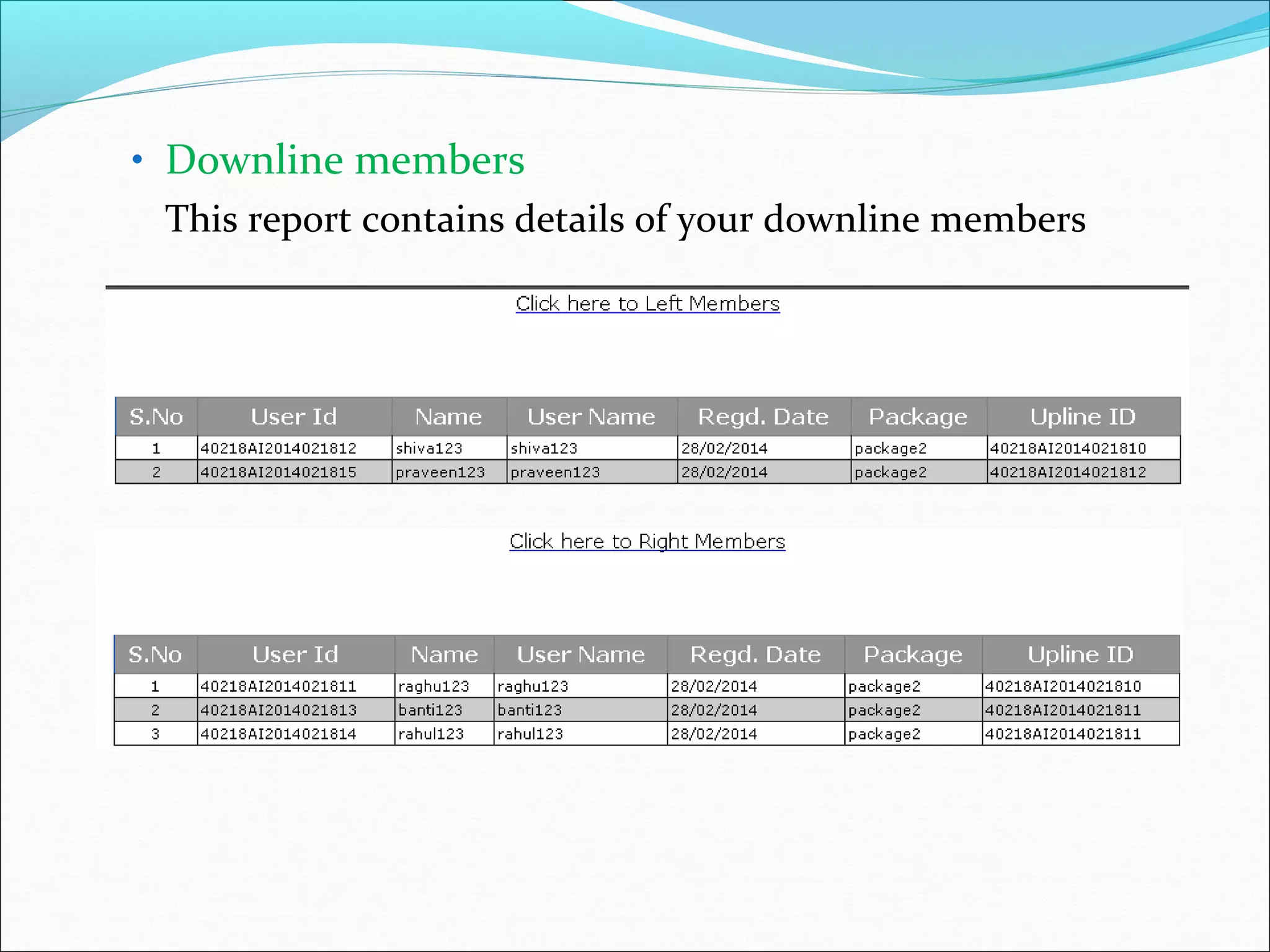 • Downline members
This report contains details of your downline members
 
