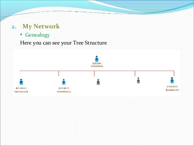 Binary option mlm