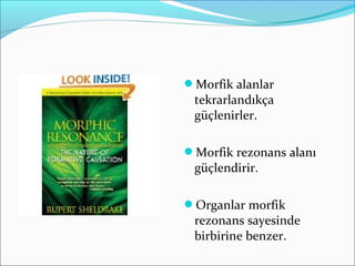 Morfik alanlar
tekrarlandıkça
güçlenirler.
Morfik rezonans alanı
güçlendirir.
Organlar morfik
rezonans sayesinde
birbirine benzer.
 