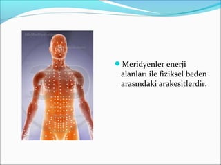 Meridyenler enerji
alanları ile fiziksel beden
arasındaki arakesitlerdir.
 