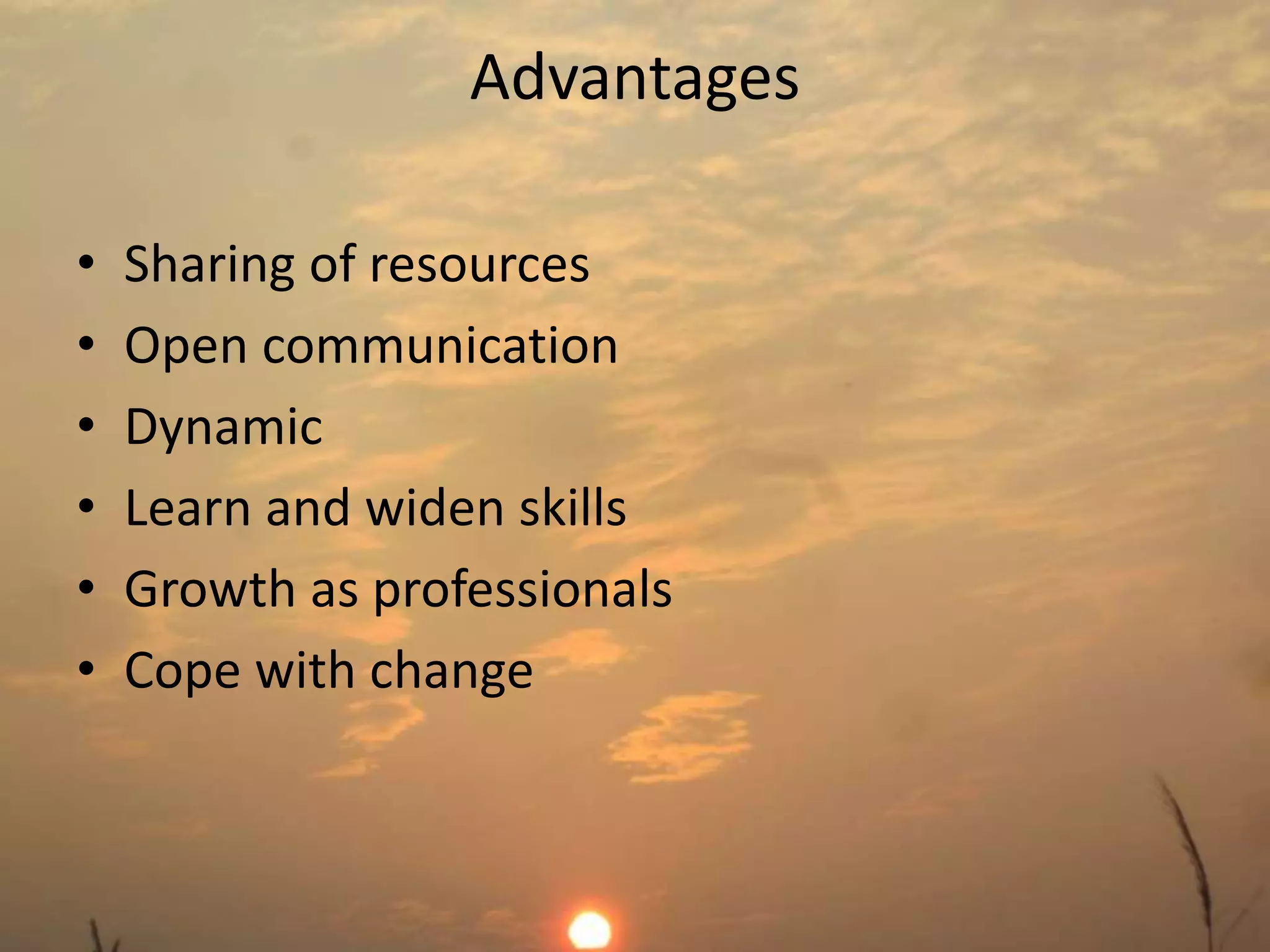 Advantages 
• Sharing of resources 
• Open communication 
• Dynamic 
• Learn and widen skills 
• Growth as professionals 
• Cope with change 
 