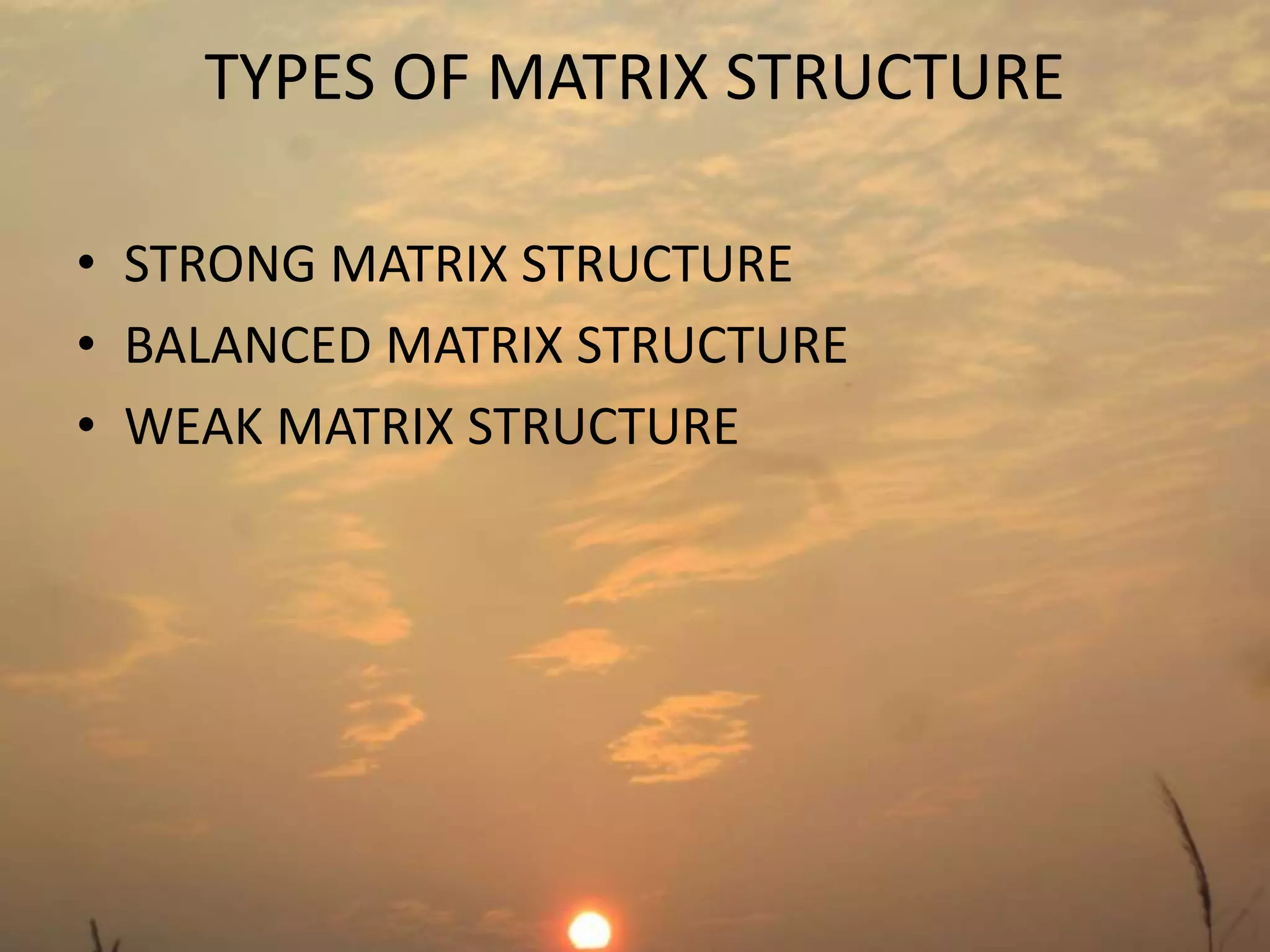 TYPES OF MATRIX STRUCTURE 
• STRONG MATRIX STRUCTURE 
• BALANCED MATRIX STRUCTURE 
• WEAK MATRIX STRUCTURE 
 