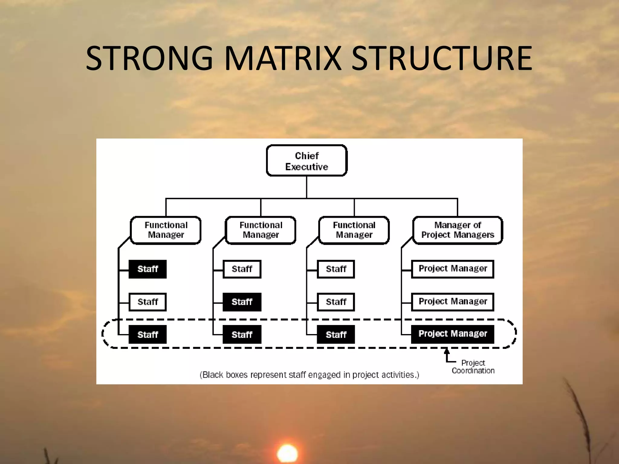 STRONG MATRIX STRUCTURE 
 