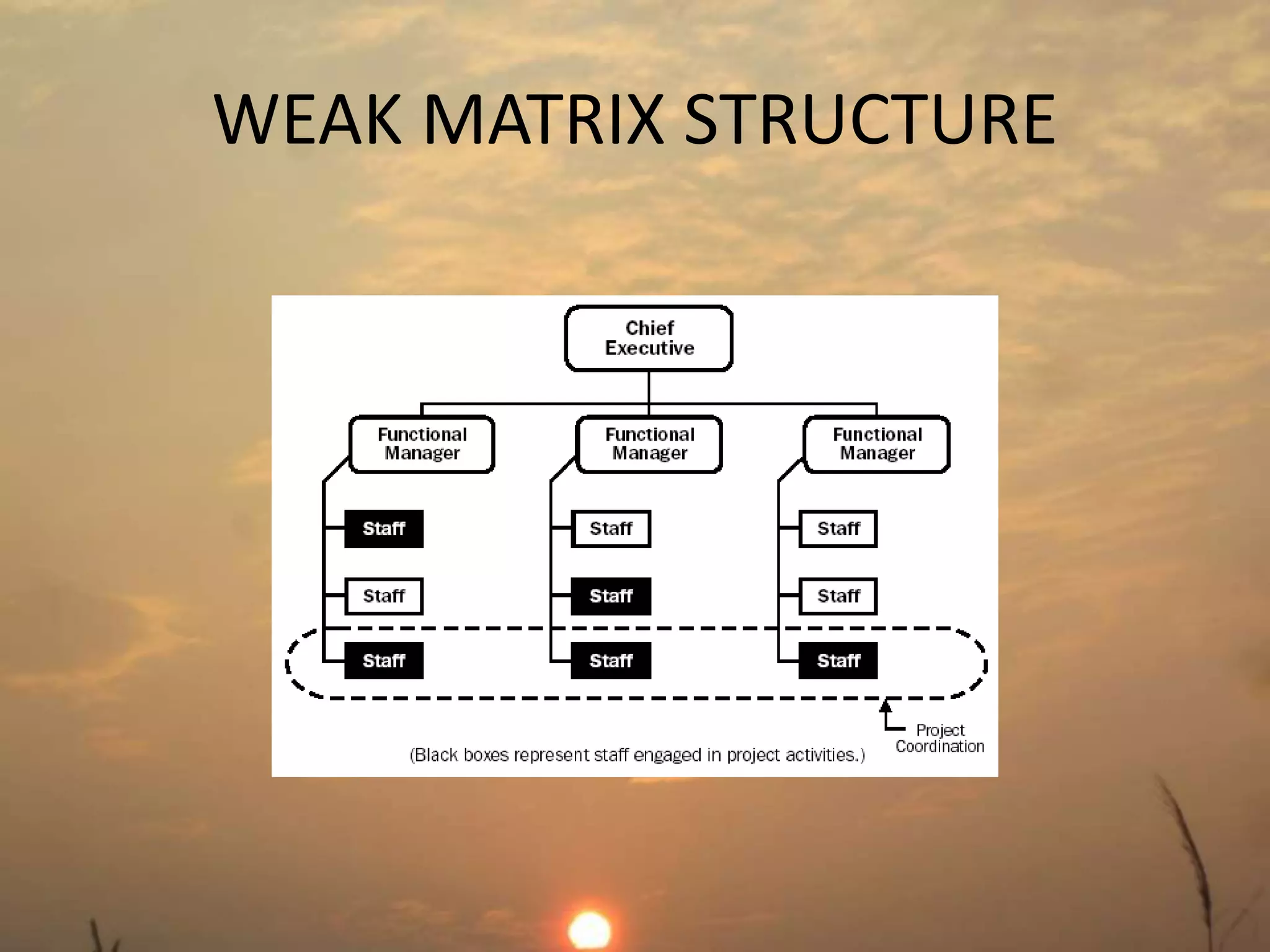 WEAK MATRIX STRUCTURE 
 