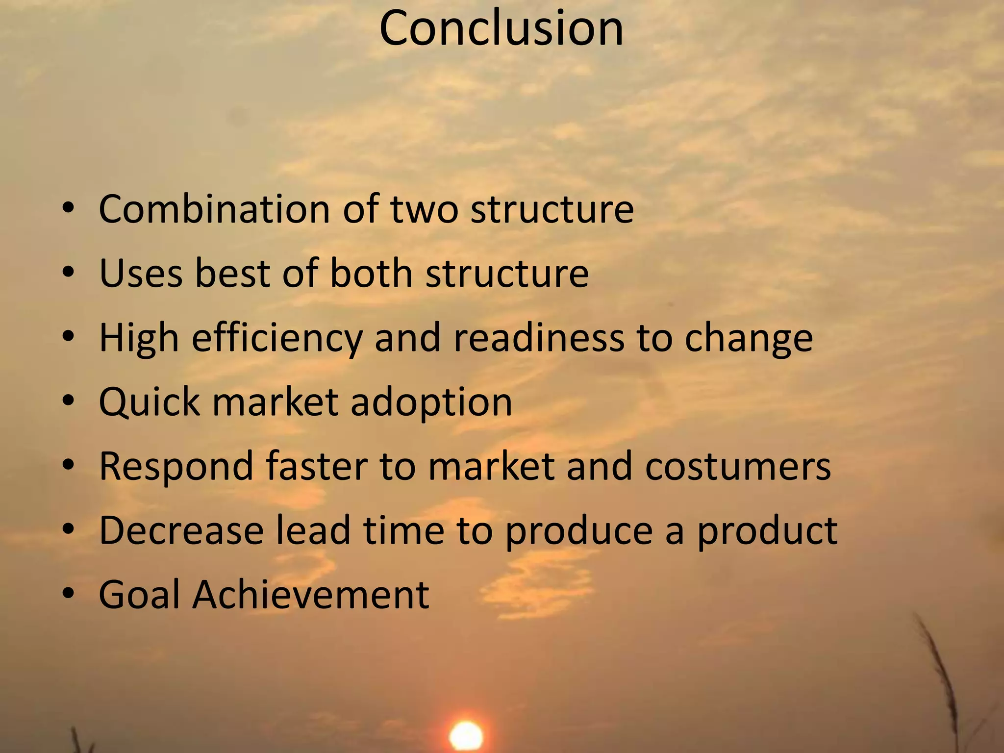 Conclusion 
• Combination of two structure 
• Uses best of both structure 
• High efficiency and readiness to change 
• Quick market adoption 
• Respond faster to market and costumers 
• Decrease lead time to produce a product 
• Goal Achievement 
