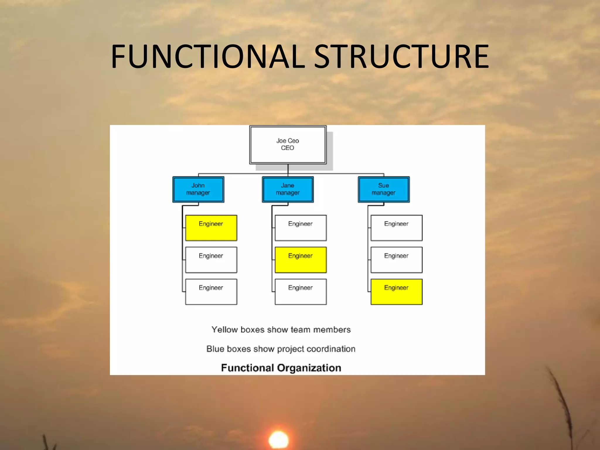 FUNCTIONAL STRUCTURE 
 