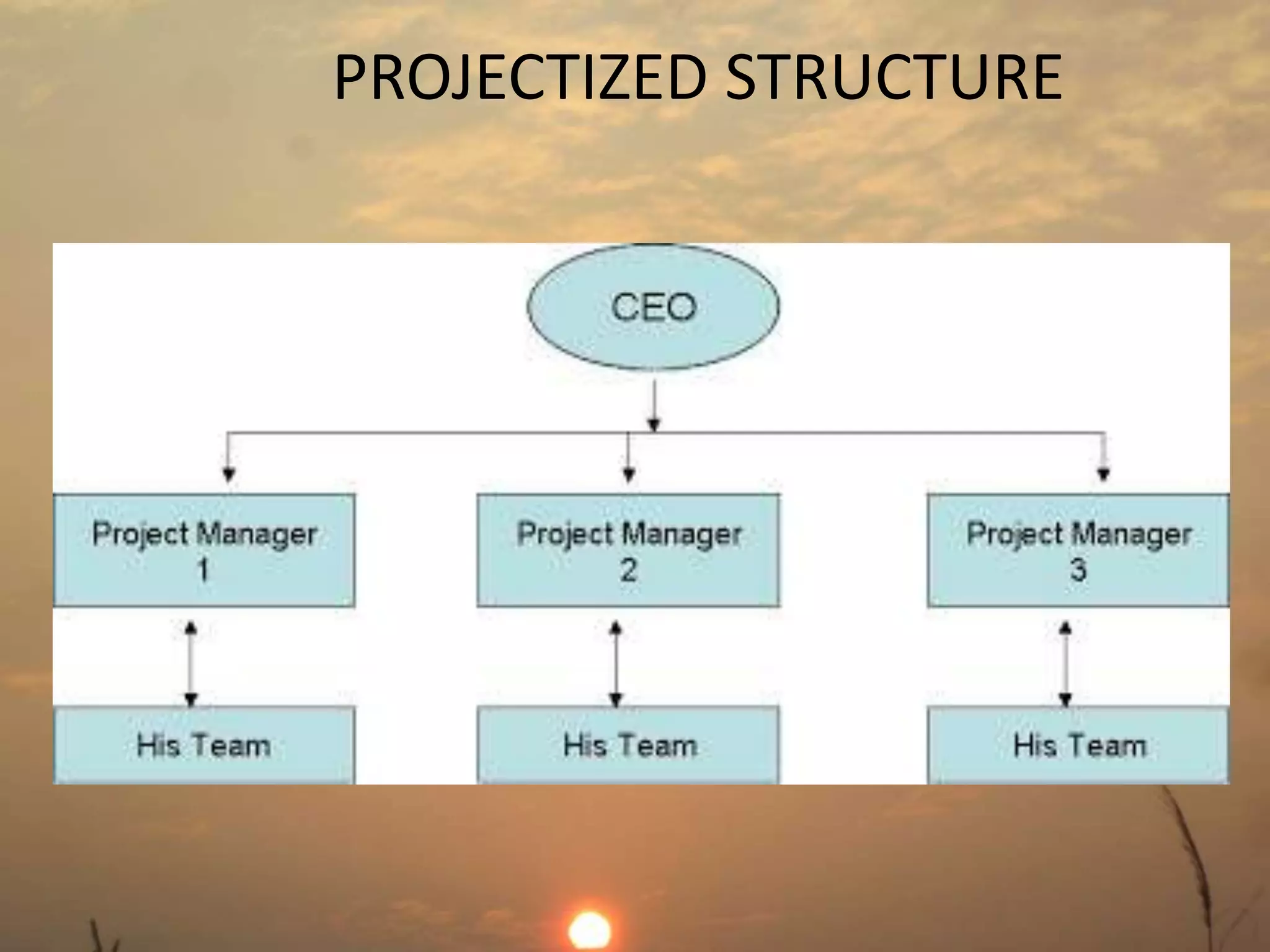 PROJECTIZED STRUCTURE 
 