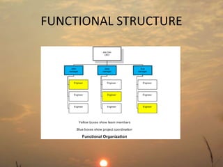 FUNCTIONAL STRUCTURE 
 