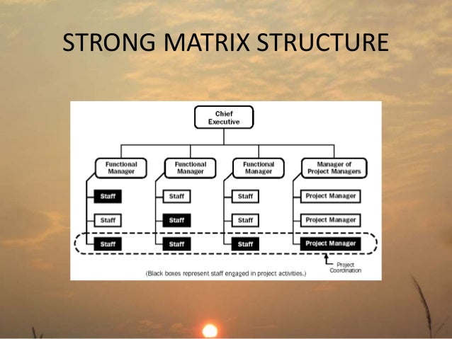 matrix organizational structure