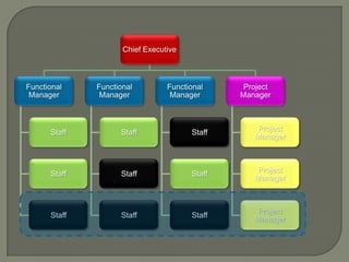 Chief Executive

Functional
Manager

Functional
Manager

Functional
Manager

Project
Manager

Staff

Staff

Staff

Project
Manager

Staff

Staff

Staff

Project
Manager

Staff

Staff

Staff

Project
Manager

 