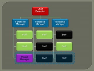 Chief
Executive

Functional
Manager

Functional
Manager

Functional
Manager

Staff

Staff

Staff

Staff

Staff

Staff

Project
Manager

Staff

Staff

 
