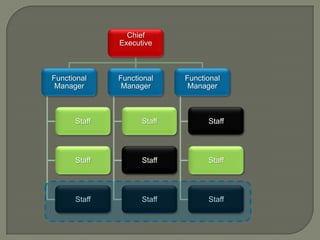 Chief
Executive

Functional
Manager

Functional
Manager

Functional
Manager

Staff

Staff

Staff

Staff

Staff

Staff

Staff

Staff

Staff

 