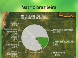 Matriz brasileira
 