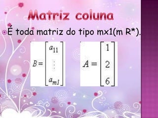 É   toda matriz do tipo mx1(m R*).
 