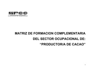 1
MATRIZ DE FORMACION COMPLEMENTARIA
DEL SECTOR OCUPACIONAL DE:
“PRODUCTOR/A DE CACAO”
 