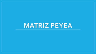 MATRIZ PEYEA
 
