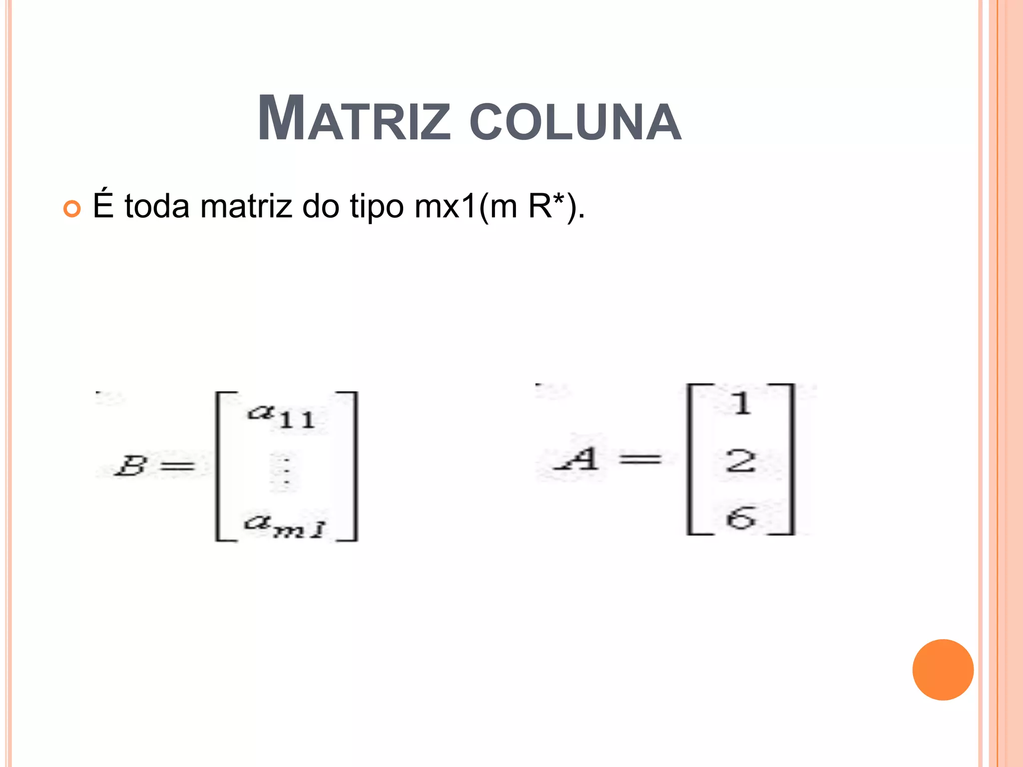 Matriz colunaÉ toda matriz do tipo mx1(m R*).