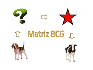 Matriz BCG 