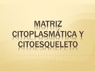 MATRIZ 
CITOPLASMÁTICA Y 
CITOESQUELETO 
 