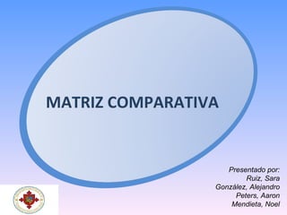 MATRIZ COMPARATIVA Presentado por: Ruiz, Sara González, Alejandro Peters, Aaron Mendieta, Noel 